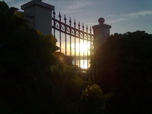 210977_3448444342462_902037884_o