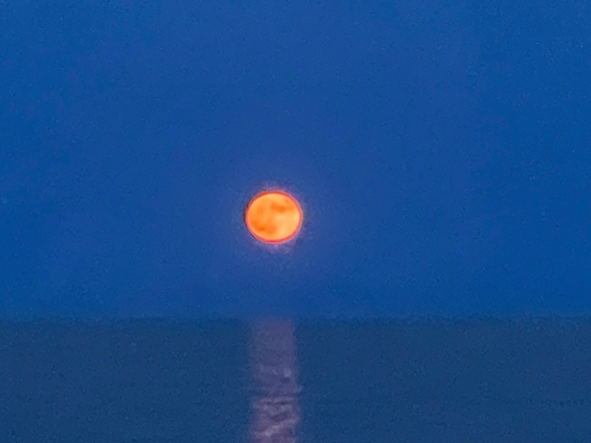 Los poetas cantan a la&nbsp;luna
